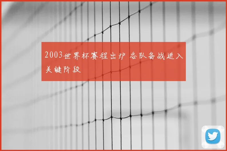 2003世界杯赛程出炉 各队备战进入关键阶段