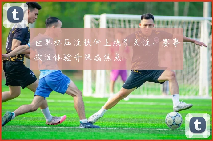 世界杯压注软件上线引关注，赛事投注体验升级成焦点