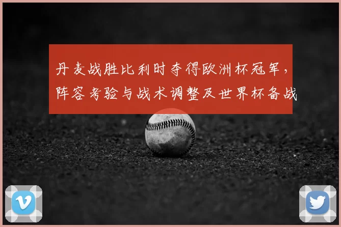 丹麦战胜比利时夺得欧洲杯冠军，阵容考验与战术调整及世界杯备战看点