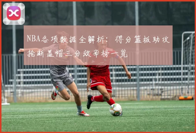 NBA各项数据全解析：得分篮板助攻抢断盖帽三分效率榜一览