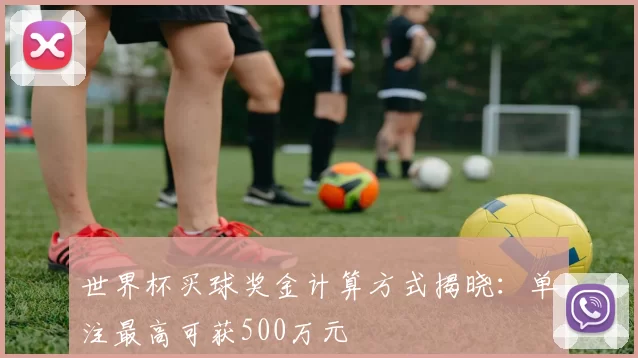 世界杯买球奖金计算方式揭晓：单注最高可获500万元